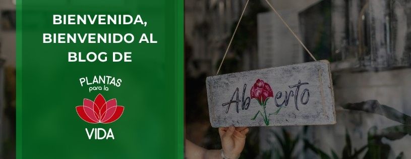 web-jardineria-terapeutica