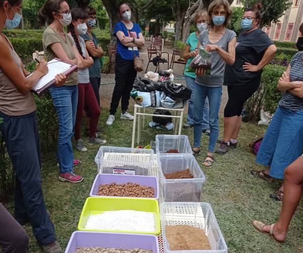 formación para profesionales • terapeuta ocupacional con plantas • curso iniciación