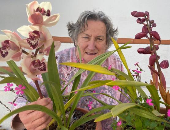 jardinería en maceta en zaragoza • orquideas