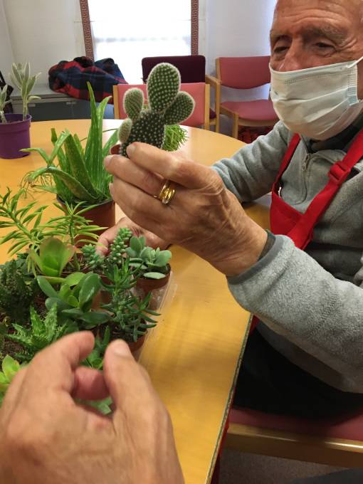 jardineria terapeutica zaragoza plantas para la vida beneficios