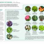 Eva Creus - Publicaciones - Terapeuta Hortícola - Revista Mi Jardín 3a