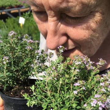 terapeuta-horticola plantas-para-la-vida