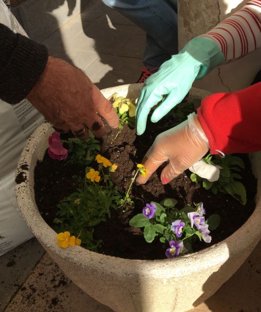 Jardinería para el bienestar • Envejecimiento Activo