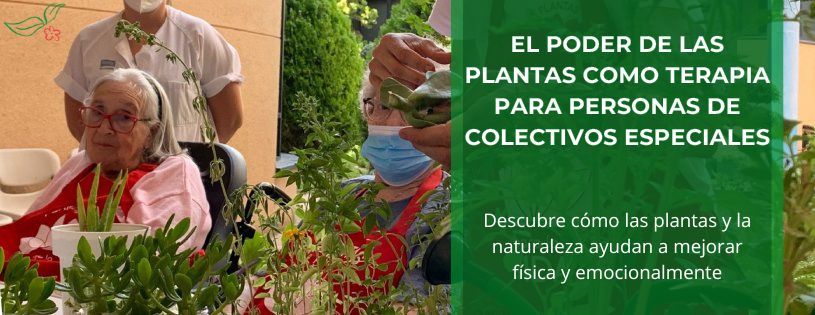 El poder de las plantas como terapia para personas de colectivos especiales