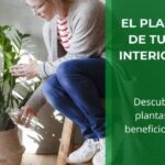 Cómo cuidar tus plantas de interior en invierno • portada artículo