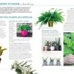 Eva Creus - Publicaciones - Terapeuta Hortícola - Revista Mi Jardín 5a