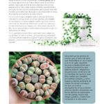 Eva Creus - Publicaciones - Terapeuta Hortícola - Revista Mi Jardín 5a