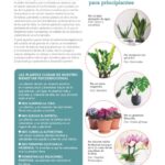 Eva Creus - Publicaciones - Terapeuta Hortícola - Revista Mi Jardín 6b