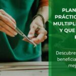 Hacer esquejes, sostenibilidad y bienestar
