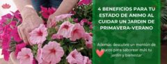 4 beneficios para tu estado de animo-al-cuidar un jardín de primavera-verano • despuntando petunias