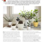 Eva Creus - Publicaciones - Terapeuta Hortícola - Revista Mi Jardín 7a