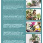 Eva Creus - Publicaciones - Terapeuta Hortícola - Revista Mi Jardín 7b