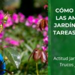 Como transformar las amenazas de tu jardín de verano en tareas mas positivas • Plantas para la vida