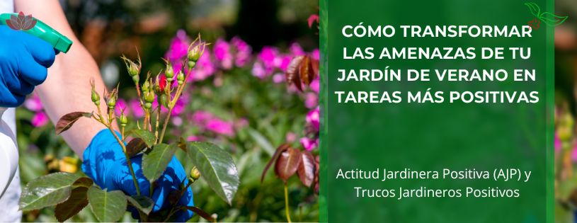 Como transformar las amenazas de tu jardín de verano en tareas mas positivas • Plantas para la vida