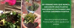 En verano más que nunca, asegúrate unas plantas más bonitas cultivando una Actitud Jardinera Positiva