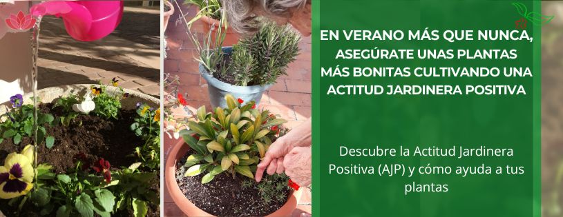 En verano más que nunca, asegúrate unas plantas más bonitas cultivando una Actitud Jardinera Positiva