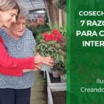 Cosecha de Bienestar: 7 Razones y Trucos para Crear tu Jardín Interior en Otoño