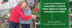 Cosecha de Bienestar: 7 Razones y Trucos para Crear tu Jardín Interior en Otoño