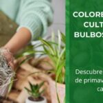 Cómo Cultivar Plantas Bulbosas de Primavera en Invierno en Casa