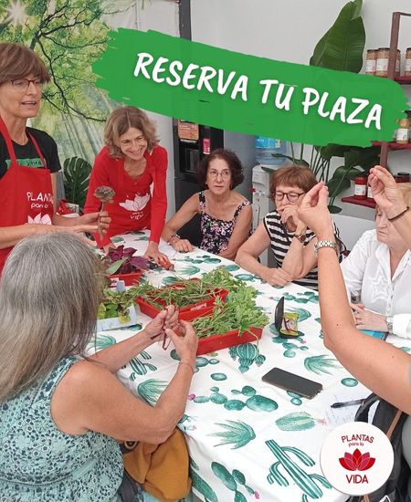 Talleres Jardinería para tu Bienestar • Jardinería para Adultos • Reserva tu Plaza