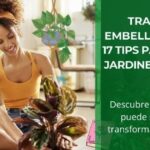 17 Tips para Iniciarse en Jardinería de Interior • Transforma y Embellece tu Hogar • Plantas para la Vida
