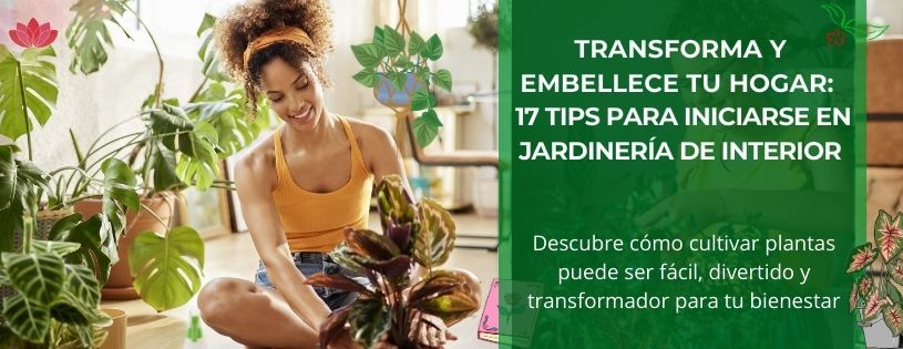 17 Tips para Iniciarse en Jardinería de Interior • Transforma y Embellece tu Hogar • Plantas para la Vida