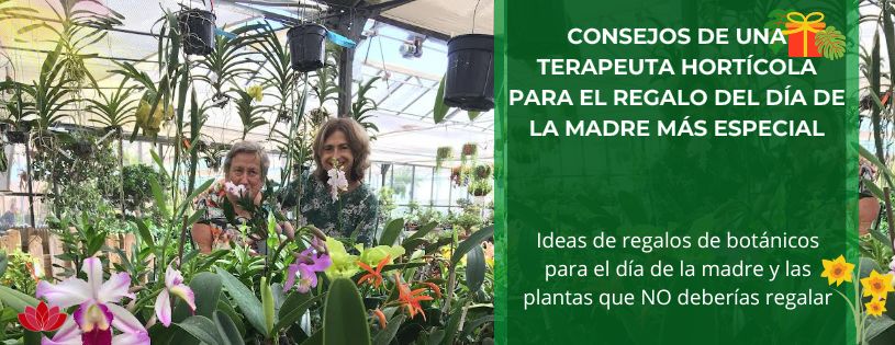 5 ideas de una terapeuta horticola para un regalo de la madre especial y algún consejo más