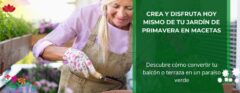 Crea y disfruta hoy mismo de tu jardín de primavera con macetas • Plantas para la Vida