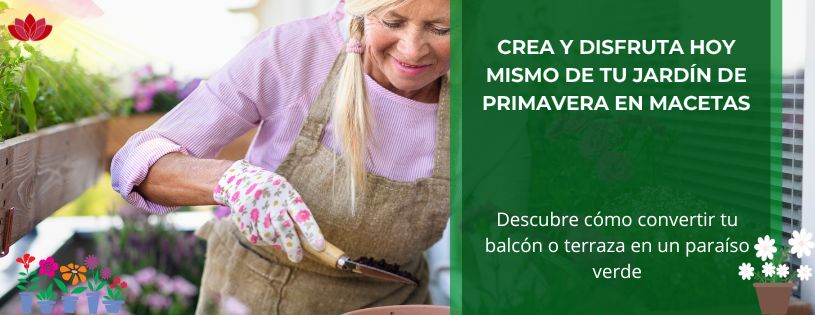 Crea y disfruta hoy mismo de tu jardín de primavera con macetas • Plantas para la Vida