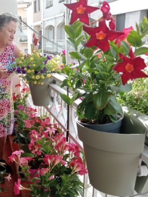 Crea y disfruta hoy mismo de tu jardin de primavera con macetas • balcón con macetas