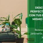 Descubre el ritual perfecto para conectar con tus plantas y contigo mismo este año nuevo • Plantas para la Vida • Hero