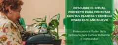 Descubre el ritual perfecto para conectar con tus plantas y contigo mismo este año nuevo • Plantas para la Vida • Hero