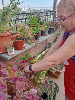 Cómo Ayudar a tus padres mayores a cuidar sus plantas sin esfuerzo: Guía Práctica • Plantas para la Vida • Jardín de Macetas en Balcón