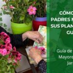 Cómo Ayudar a tus padres mayores a cuidar sus plantas sin esfuerzo: Guía Práctica • Plantas para la Vida • Hero