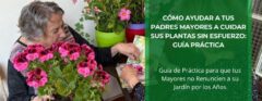Cómo Ayudar a tus padres mayores a cuidar sus plantas sin esfuerzo: Guía Práctica • Plantas para la Vida • Hero
