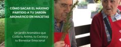 Cómo sacar el Máximo partido a tu Jardín Aromático en Maceta • Plantas para la Vida • Hero