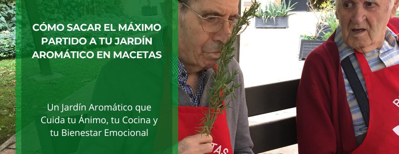 Cómo sacar el Máximo partido a tu Jardín Aromático en Maceta • Plantas para la Vida • Hero