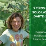7 Tipos de Felicidad que Solo las Plantas Pueden Darte (sin necesidad de un Jardín) • Plantas para la Vida • Hero