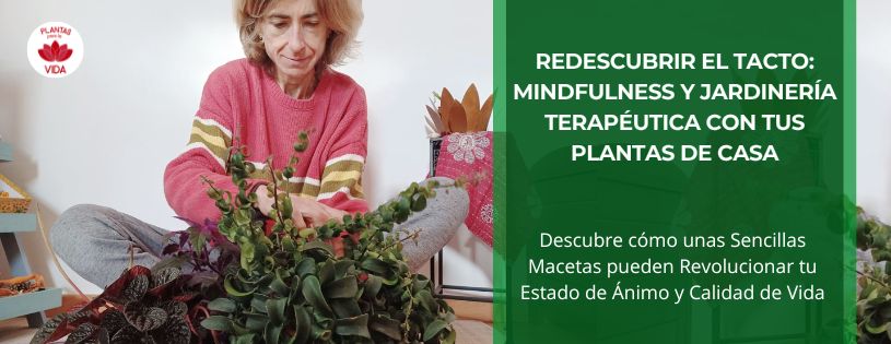 Redescubrir el Tacto: Mindfulness y Jardinería Terapéutica con tus Plantas de Casa • Eva HappyVerde con sus Plantas • Plantas para la Vida • Hero