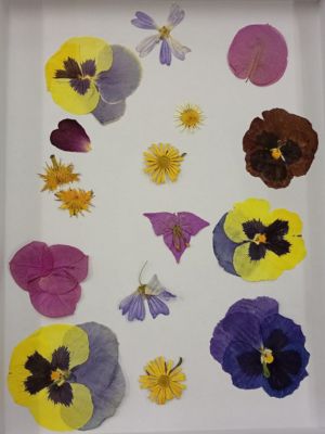 Cultivar la Gratitud: Jardinería en Macetas para comenzar el año con el Corazón Abierto • Plantas para la Vida • Flores prensadas