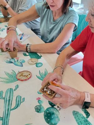 Como sembrar semillas en macetas en casa paso a paso • Plantas para la Vida