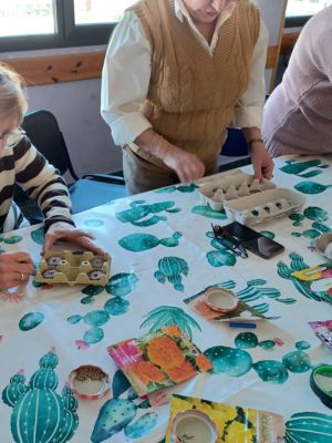 Como sembrar semillas en macetas en casa paso a paso • Plantas para la Vida • Semillero con hueveras