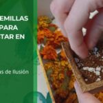 Como sembrar semillas en macetas en casa paso a paso • Plantas para la Vida • Hero
