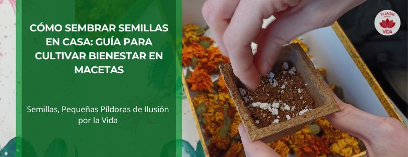 Como sembrar semillas en macetas en casa paso a paso • Plantas para la Vida • Hero