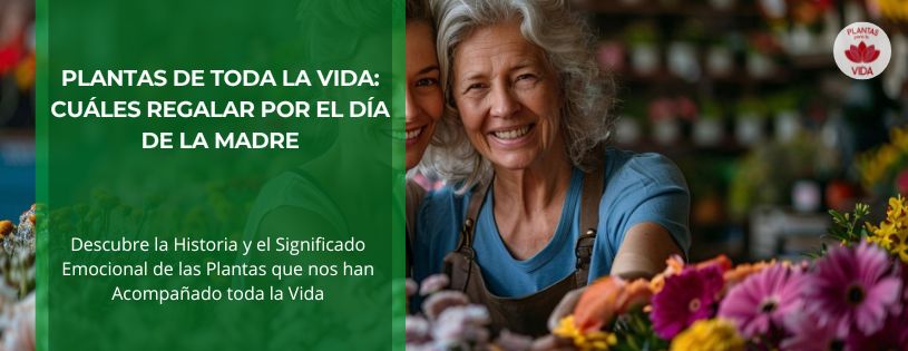 Plantas de toda la vida: cuáles regalar por el Día de la Madre • Plantas para la Vida • Hero