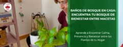 Baños de Bosque en Casa con Macetas • Plantas para la Vida • Hero • Eva HappyVerde sentada en el suelo de su hogar contemplando con atención una maceta de poto entre sus manos – baños de bosque en casa con plantas de interior